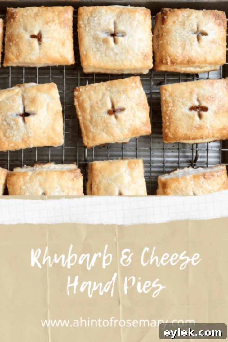 Rhubarb & Cheese Hand Pies, a perfect sweet and savory spring treat