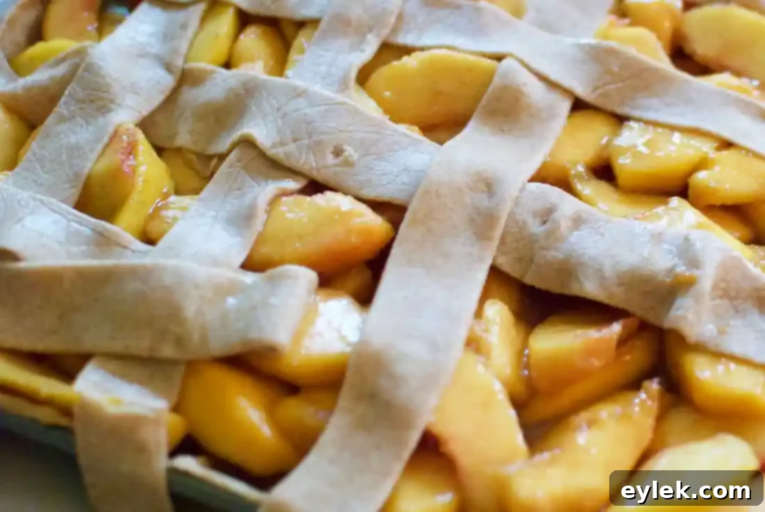 The peach filling spread evenly over the bottom crust.
