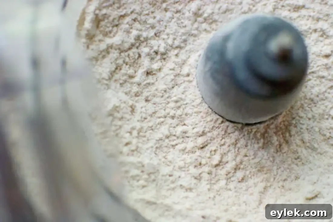 The finished dough, ready to be formed into disks.