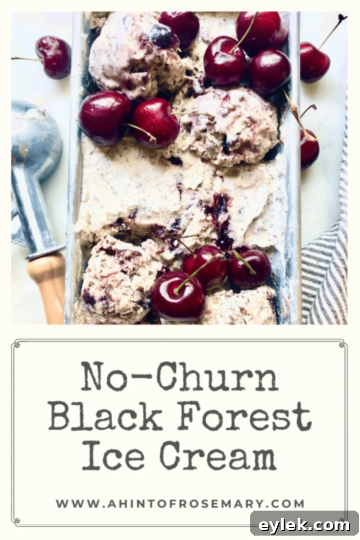 No-Churn Black Forest Ice Cream
