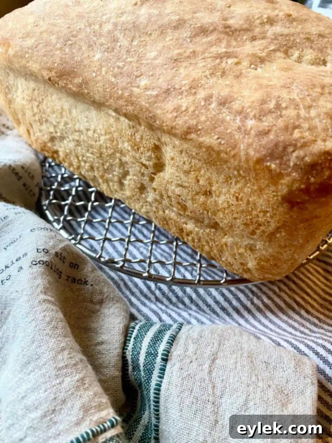 Never-Fail Sandwich Bread - Side view of baked bread