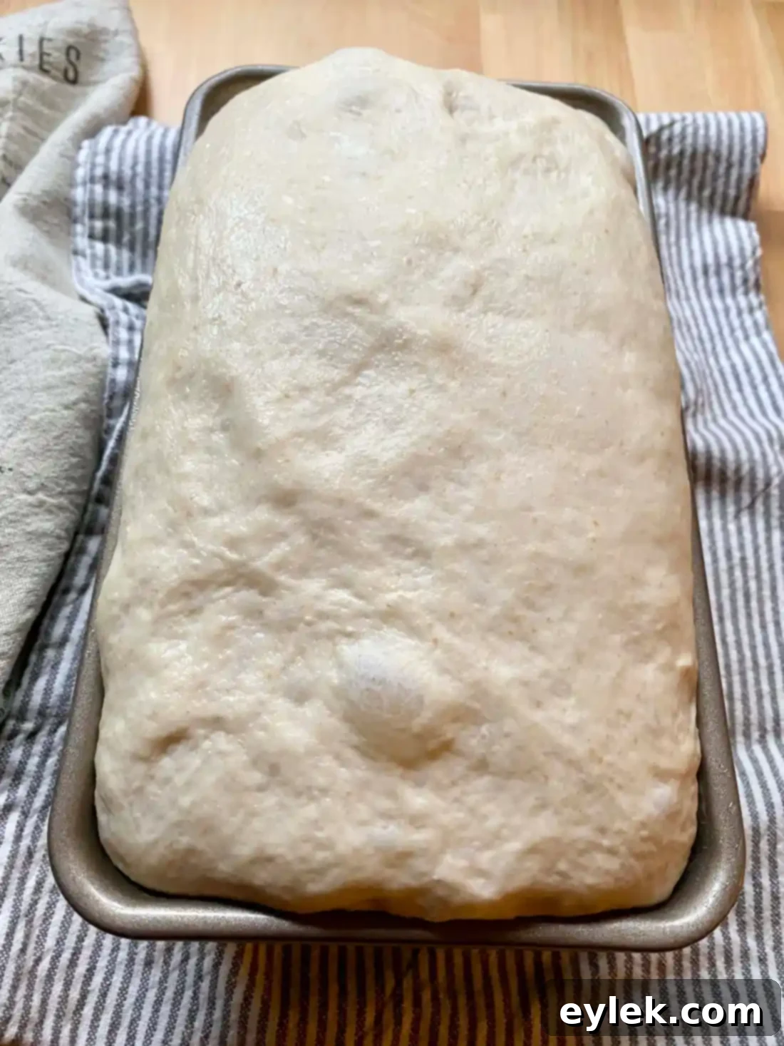Never-Fail Sandwich Bread - Dough rising in loaf pan