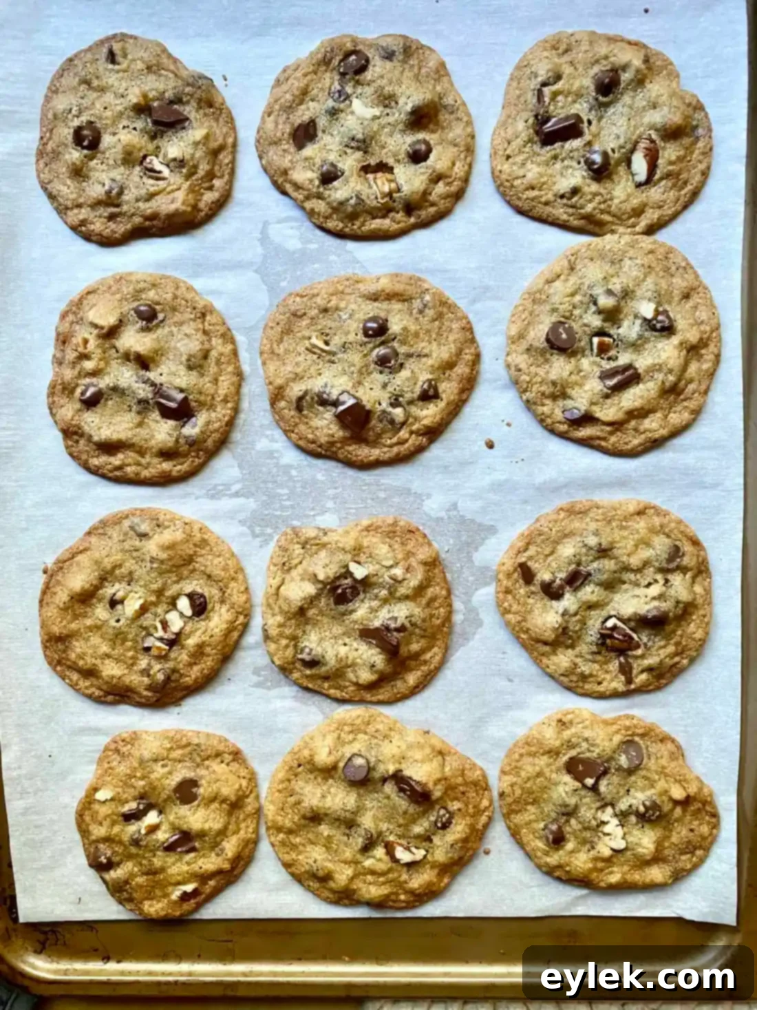 Baked Pumpkin Chocolate Chip Cookies