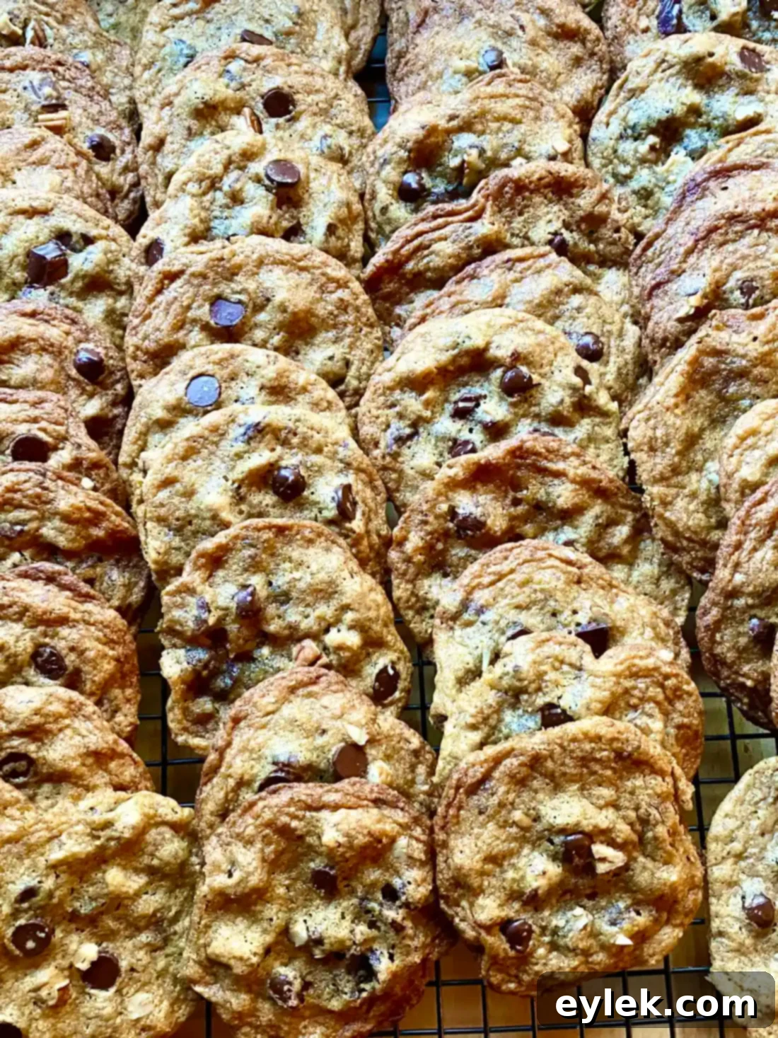 Cooling Pumpkin Chocolate Chip Cookies on baking sheet