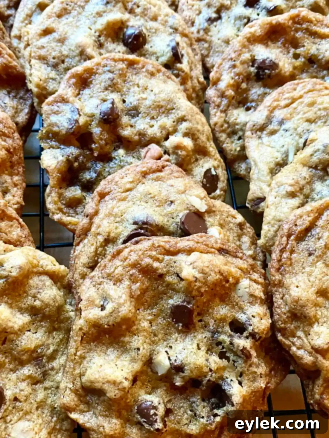 Freshly baked pumpkin chocolate chip cookies