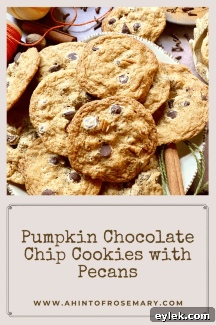 Pumpkin Chocolate Chip Cookies hero shot