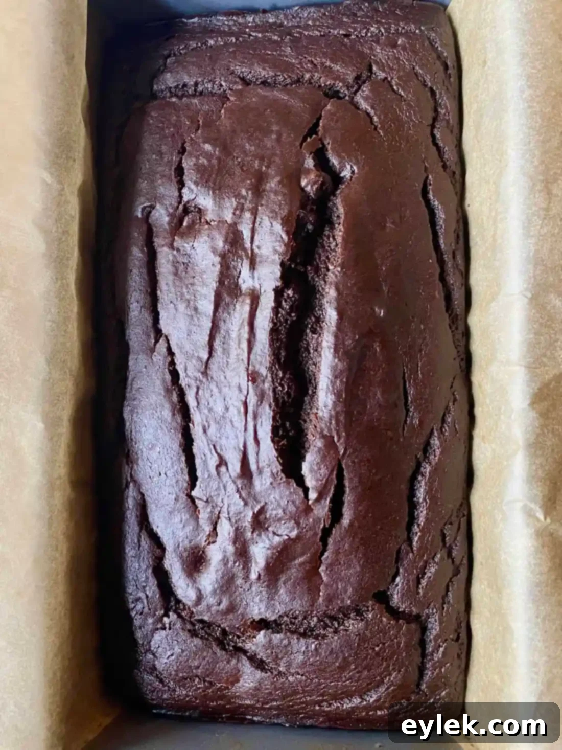 Baked Spiced Chocolate Pumpkin Cake in loaf pan