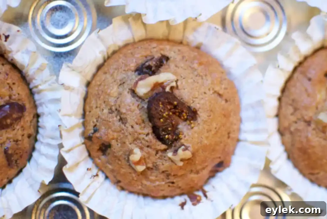 Artfully arranged whole-grain muffins with various toppings in natural light.