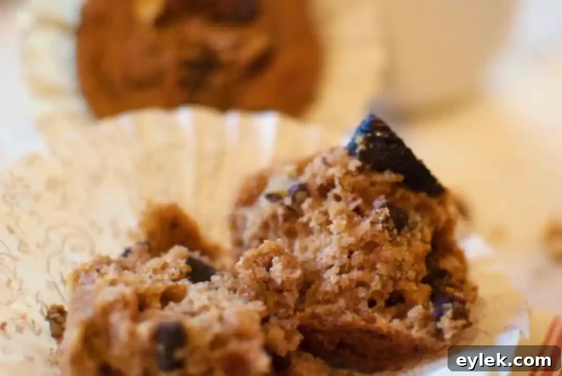 A closer view of a selection of delicious whole-grain muffins, highlighting their texture and appealing toppings.