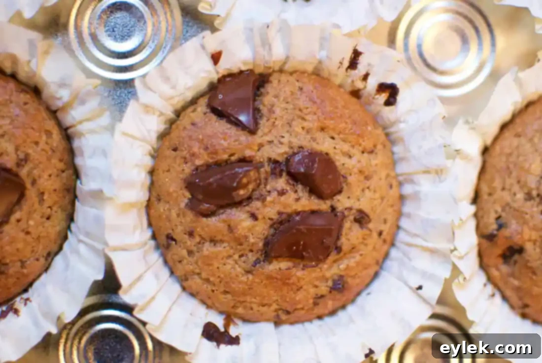 Several whole-grain muffins, beautifully arranged, on a light background.