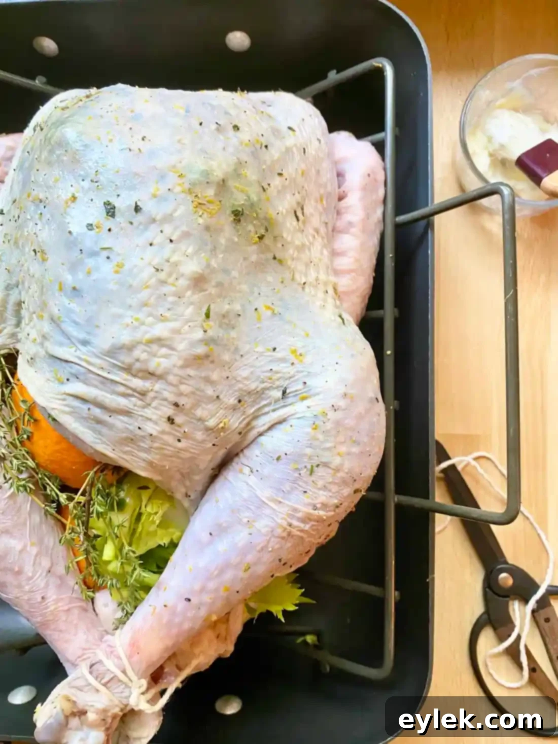 Turkey with drumsticks tied