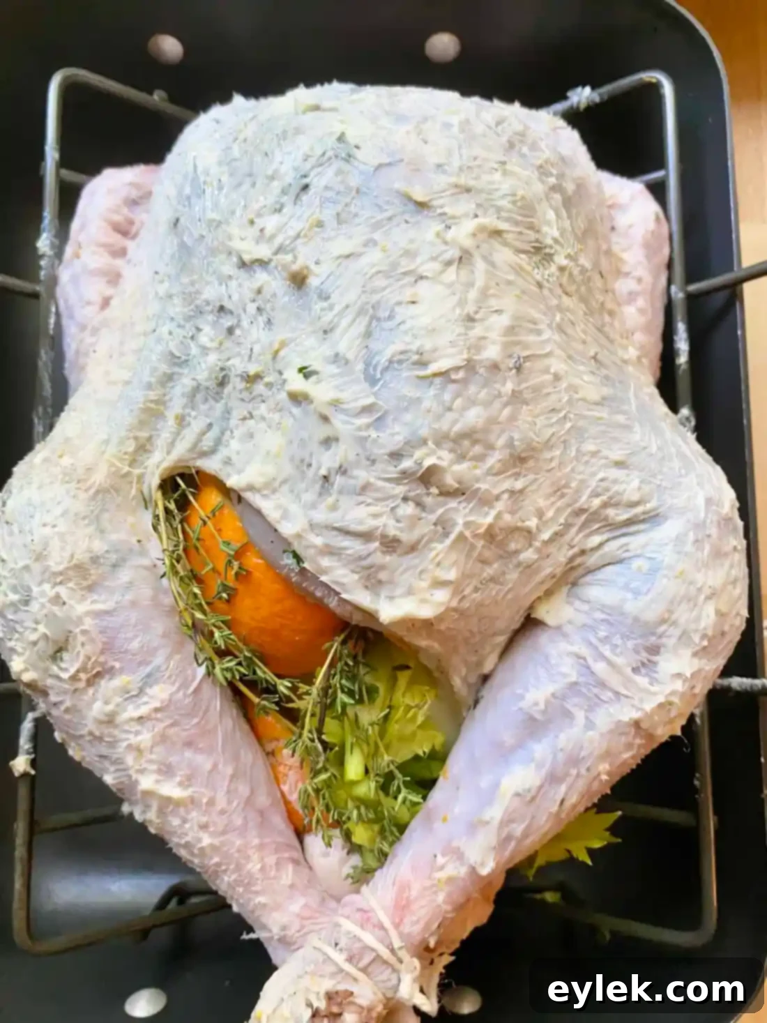 Turkey with meat thermometer