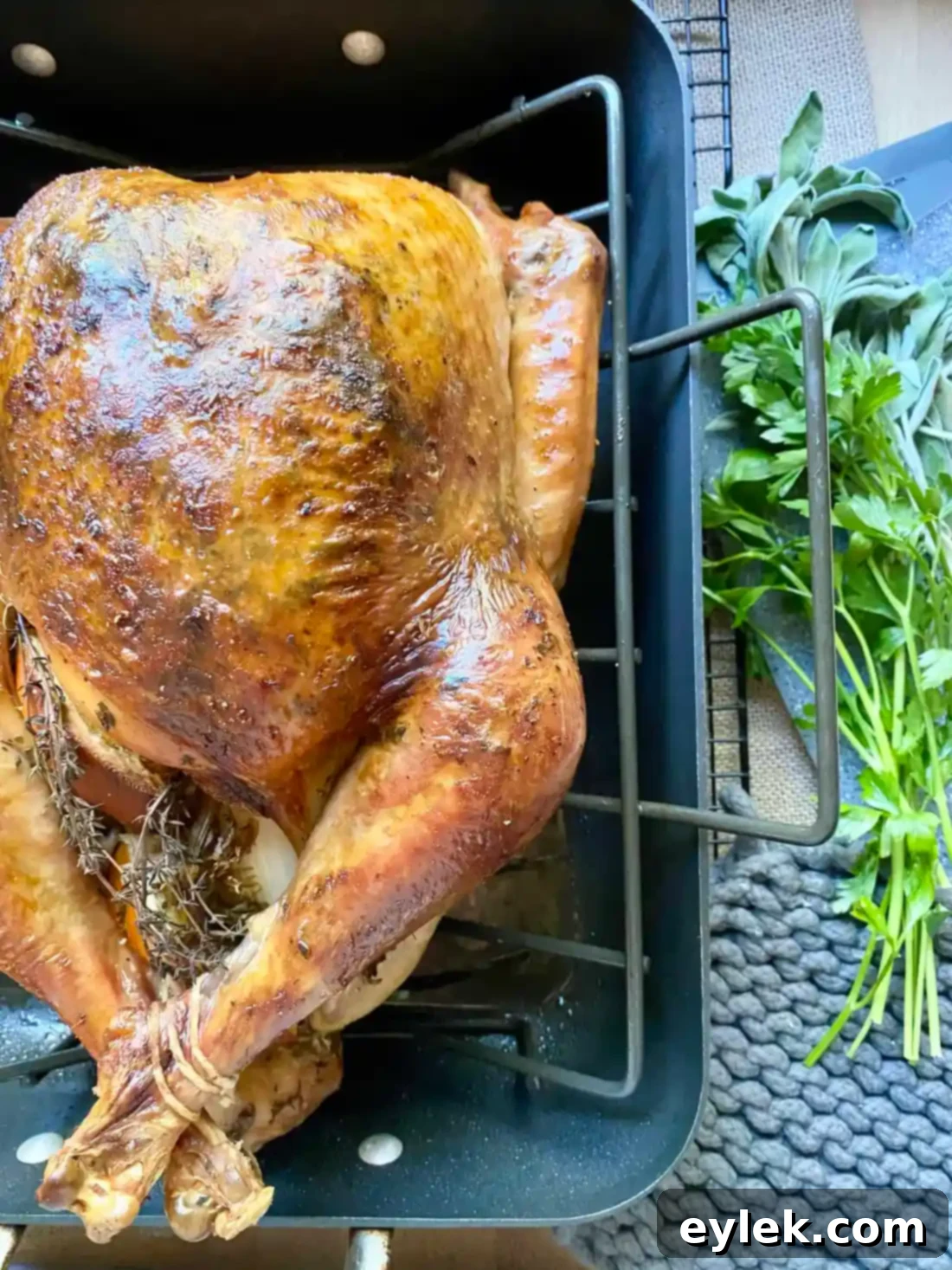 Roast turkey on cutting board