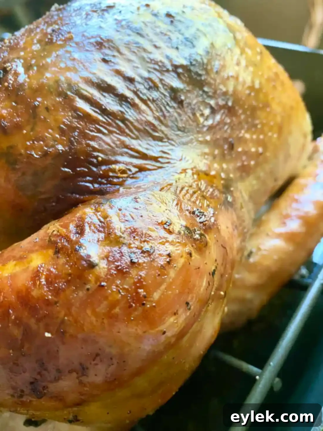 Carved turkey slices