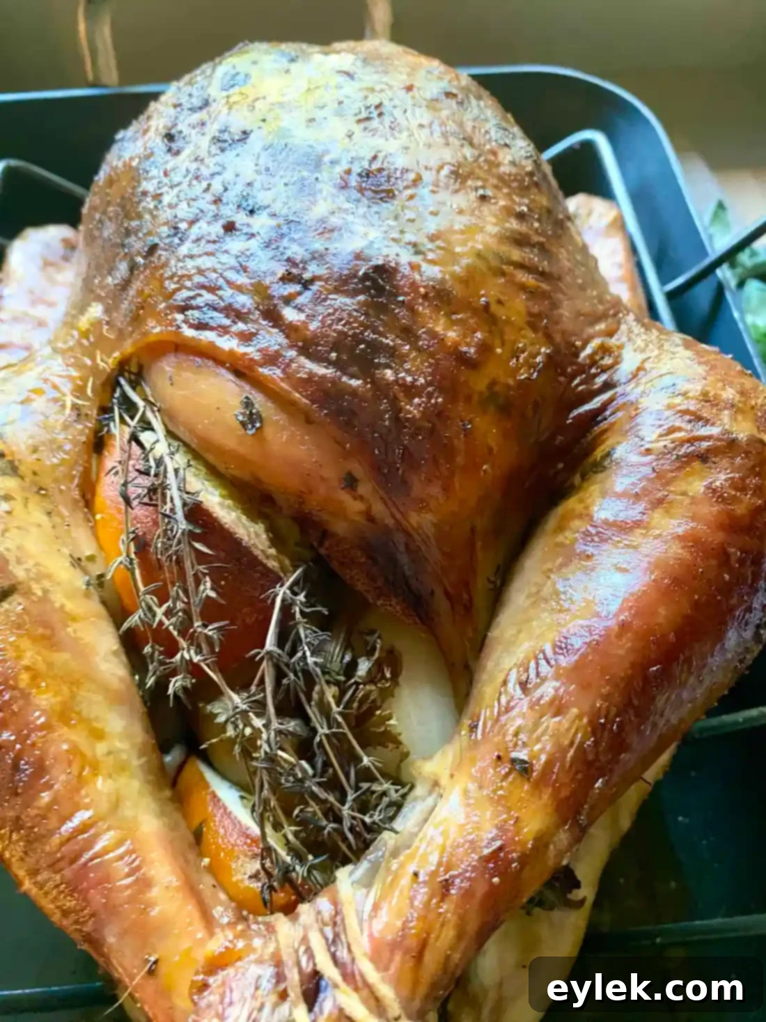 Juicy carved turkey