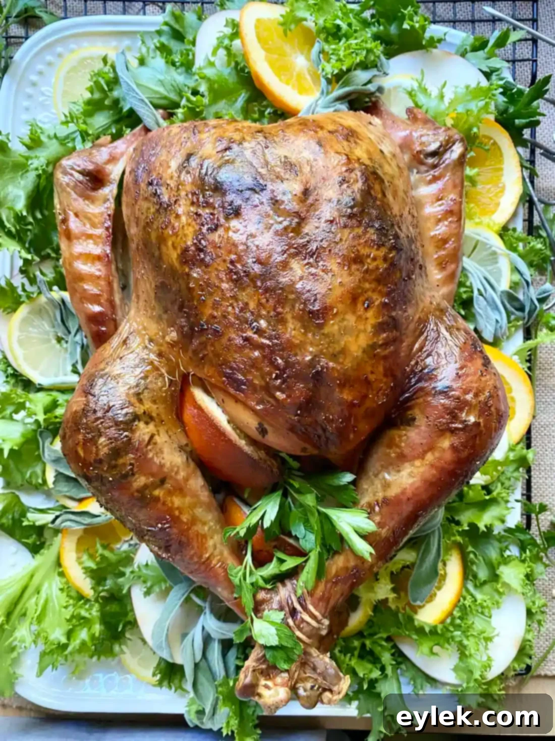 Platter of Roast Turkey with Citrus and Sage with garnishes