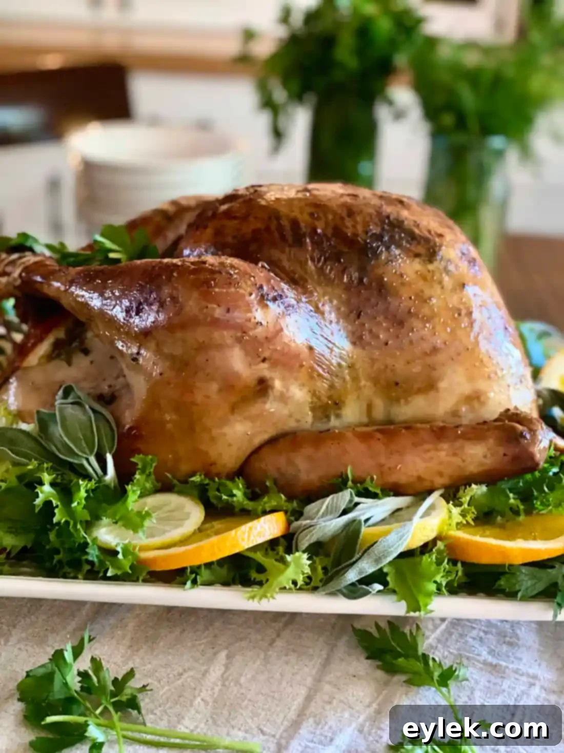 Roast Turkey with Citrus & Sage, close up
