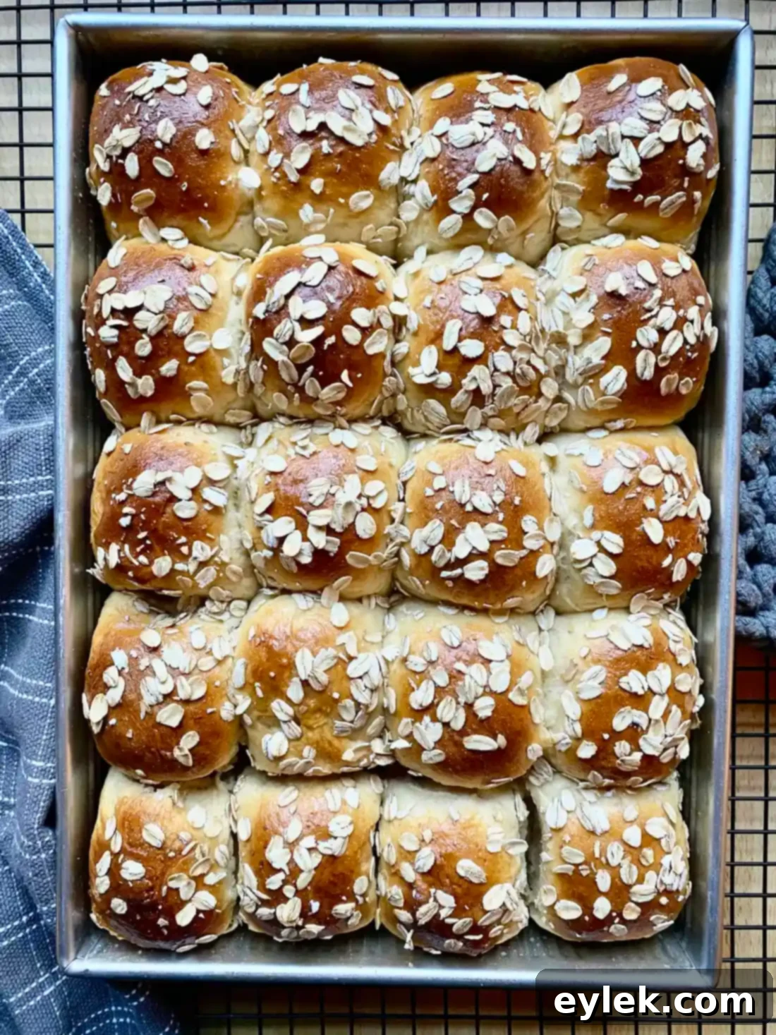 Freshly baked golden honey milk rolls