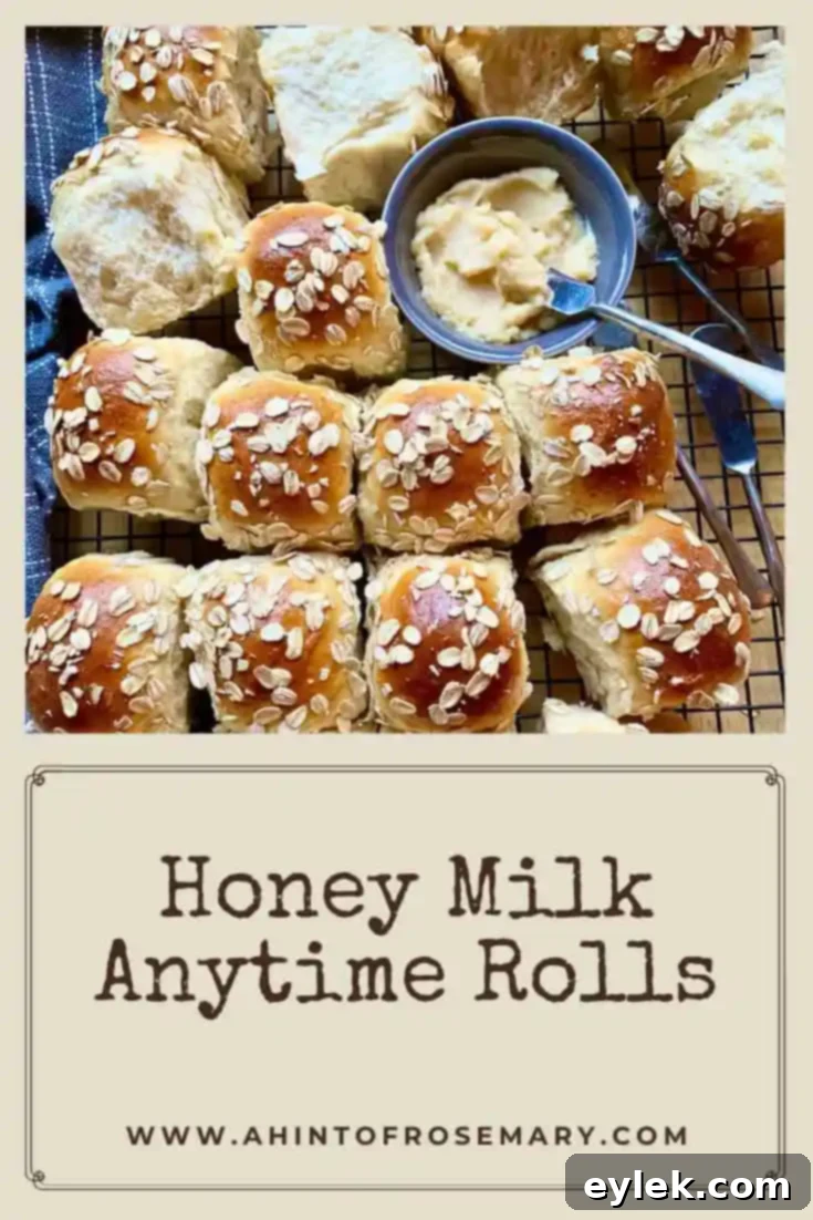 Beautifully baked Honey Milk Anytime Rolls ready to serve
