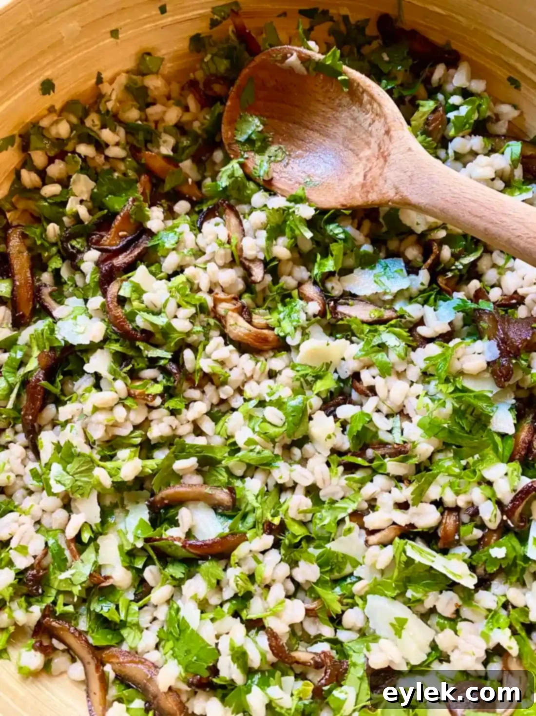 Herby Barley Salad with Buttery Mushrooms fully tossed and ready to be garnished