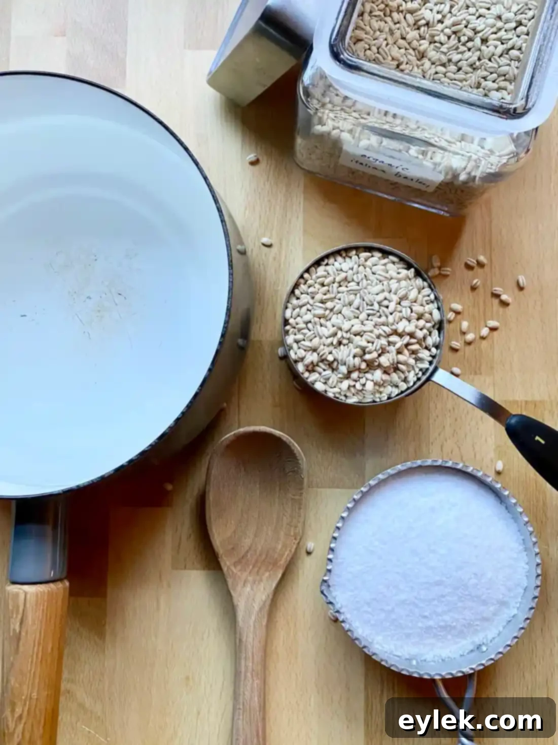Dry pearl barley grains ready for cooking