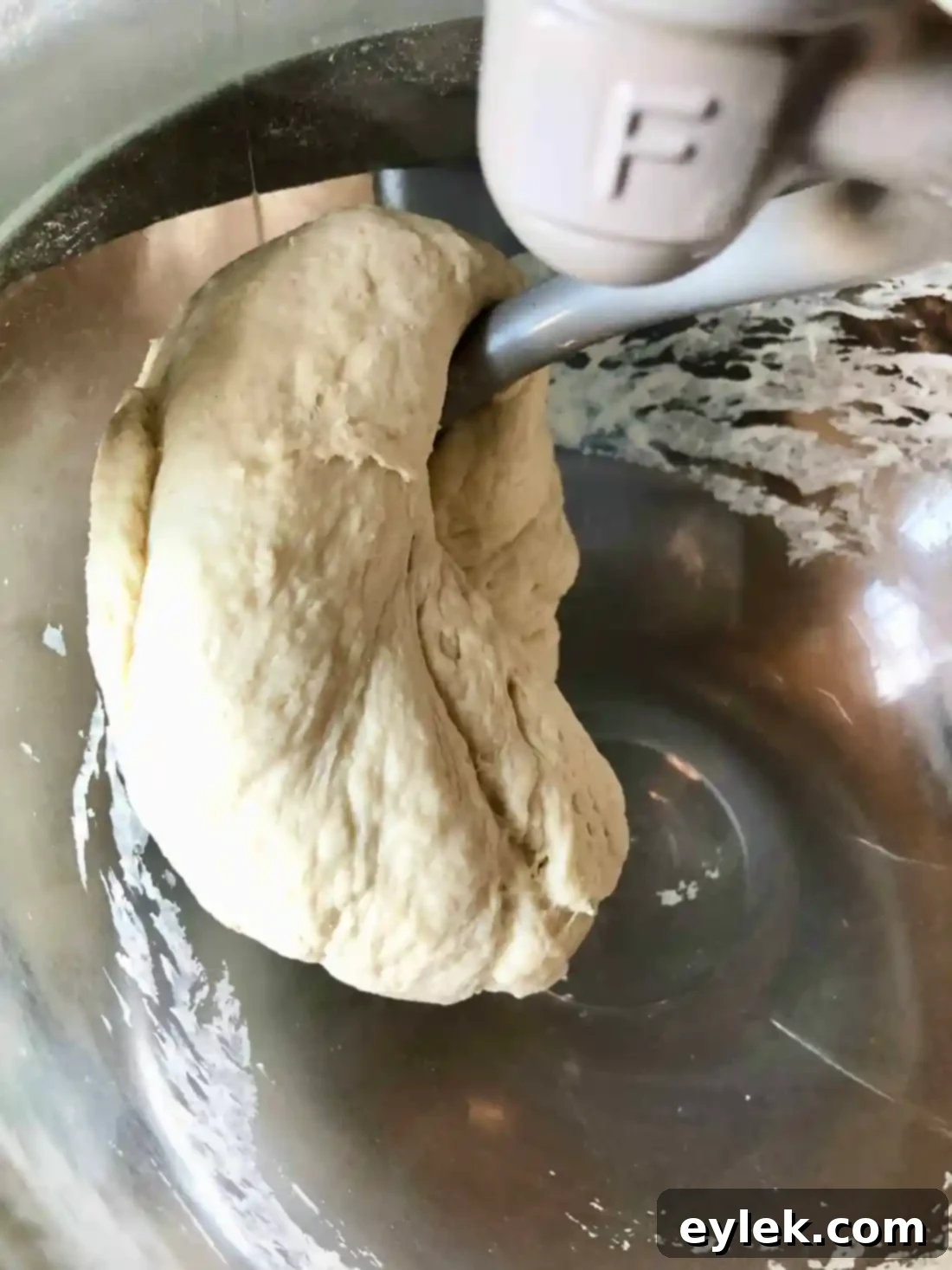 Dough in the mixing bowl