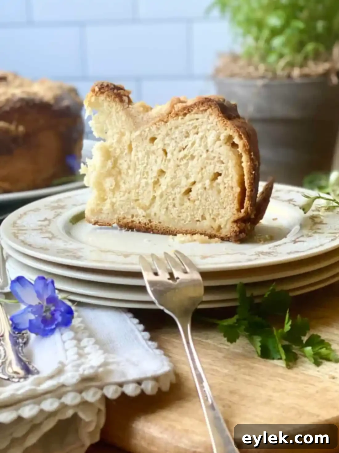 Traditional Cheese Babka with Crumb Topping