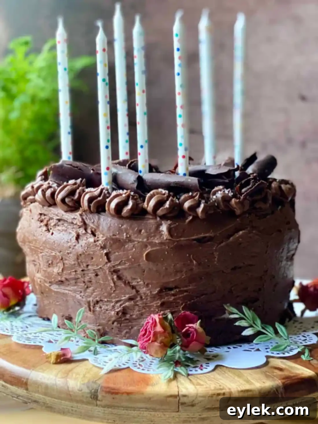 Finished Epic Chocolate Celebration Cake