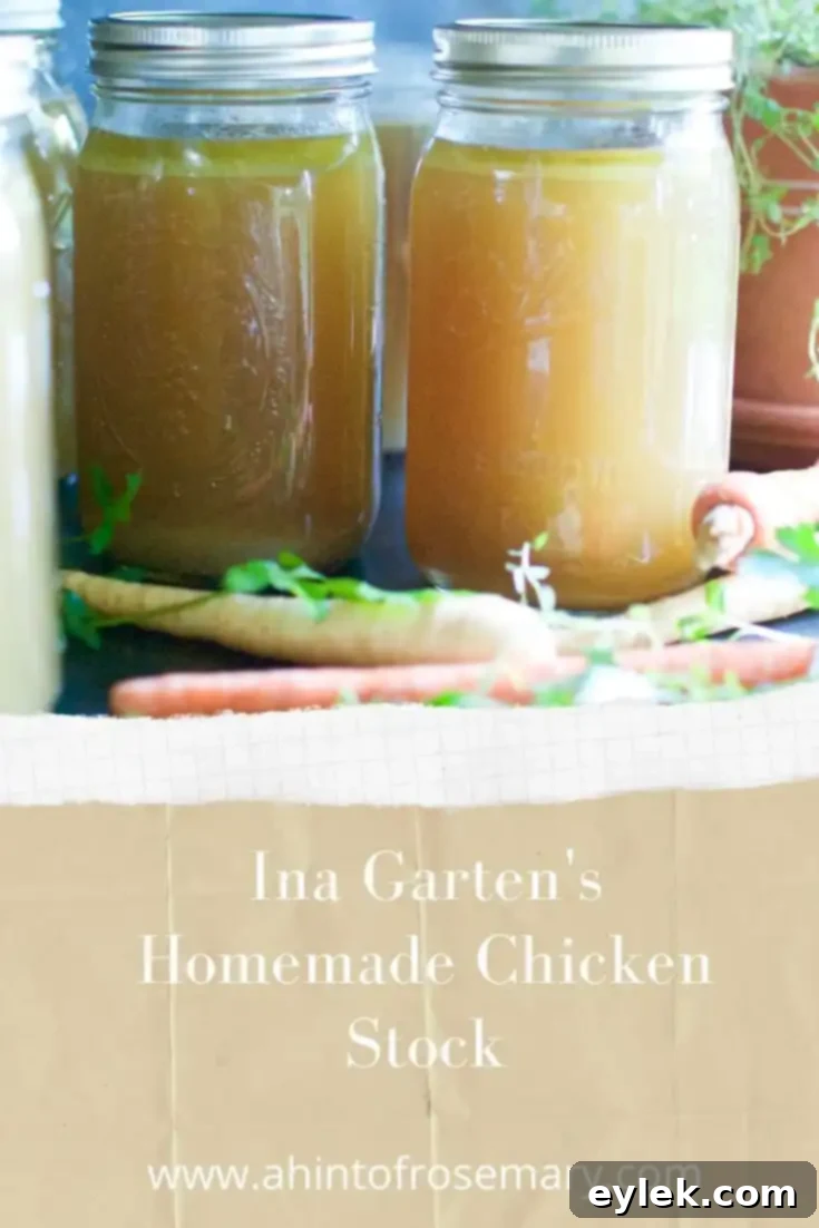 A final image of Ina Garten's Homemade Chicken Stock in a beautifully lit kitchen setting.