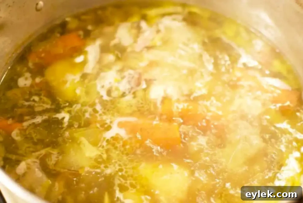 Chilled homemade chicken stock showing gelatinous texture in a pot