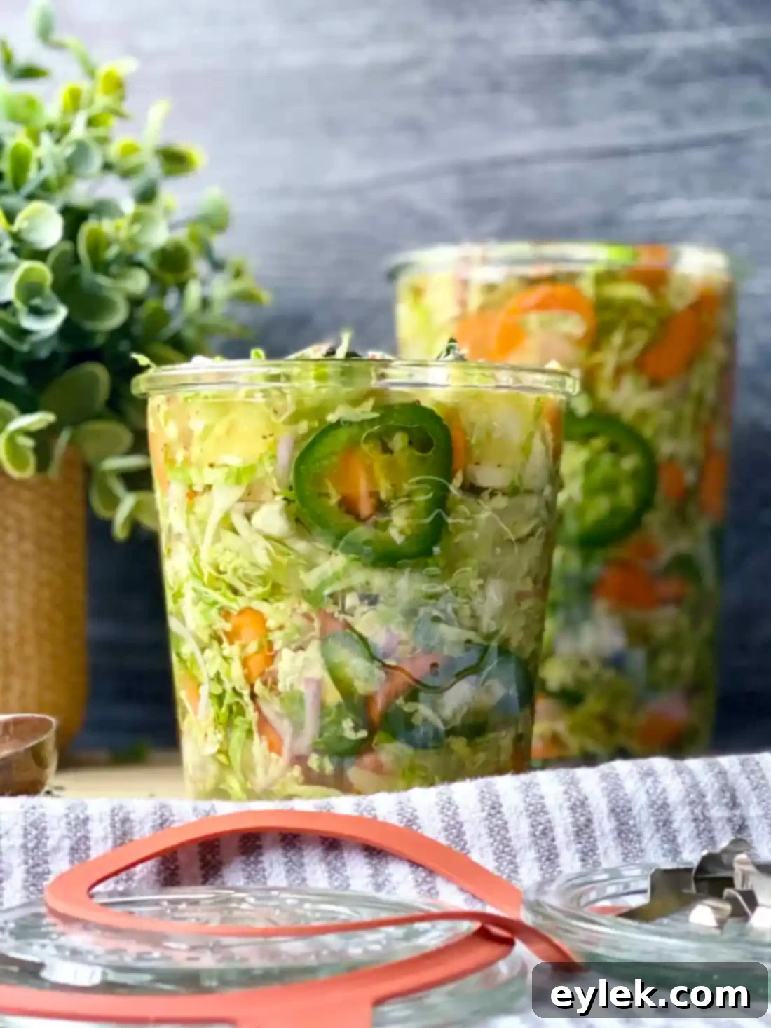 Homemade Brussels Sprouts Giardiniera