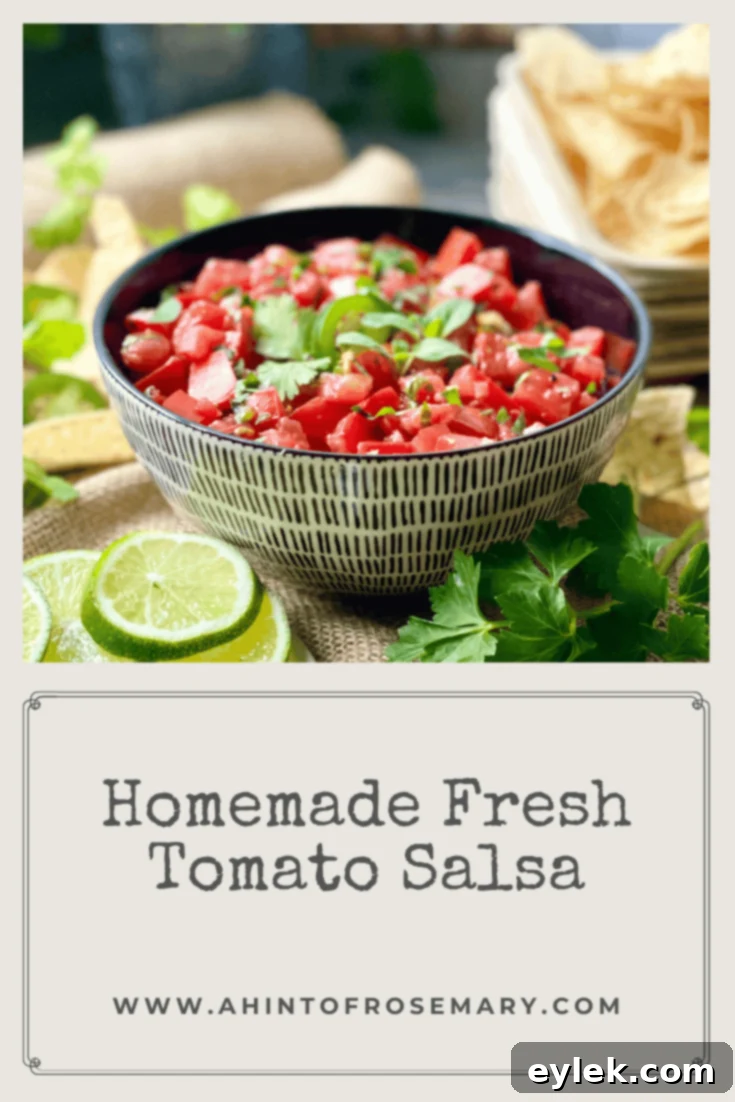 Homemade Fresh Tomato Salsa on a board with chips
