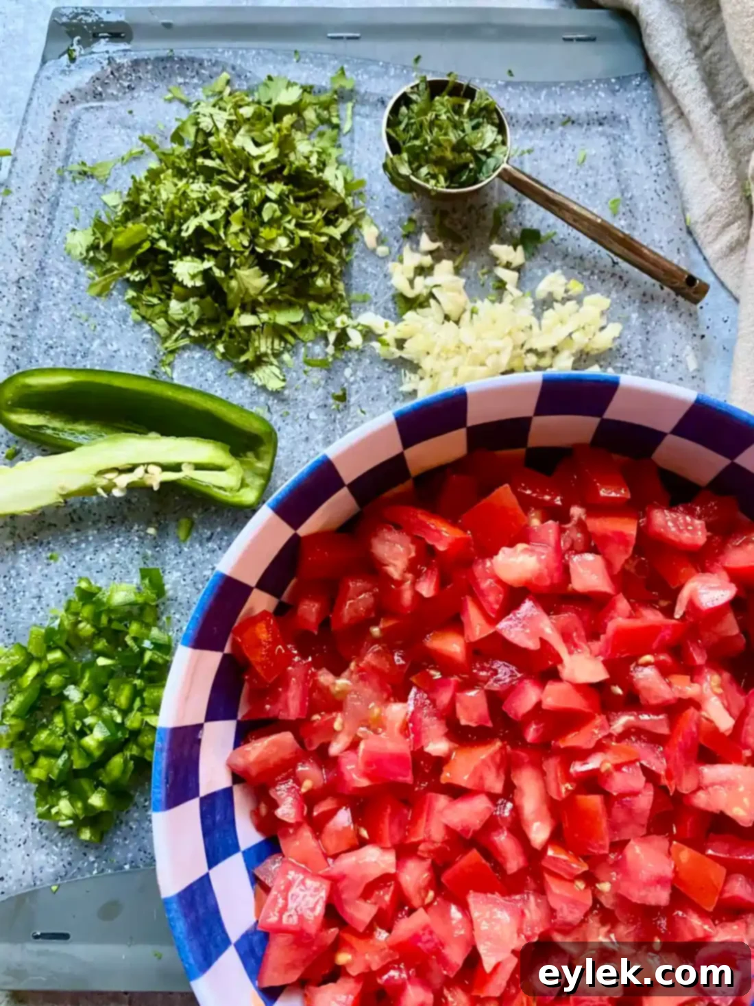 Mixing Homemade Fresh Tomato Salsa