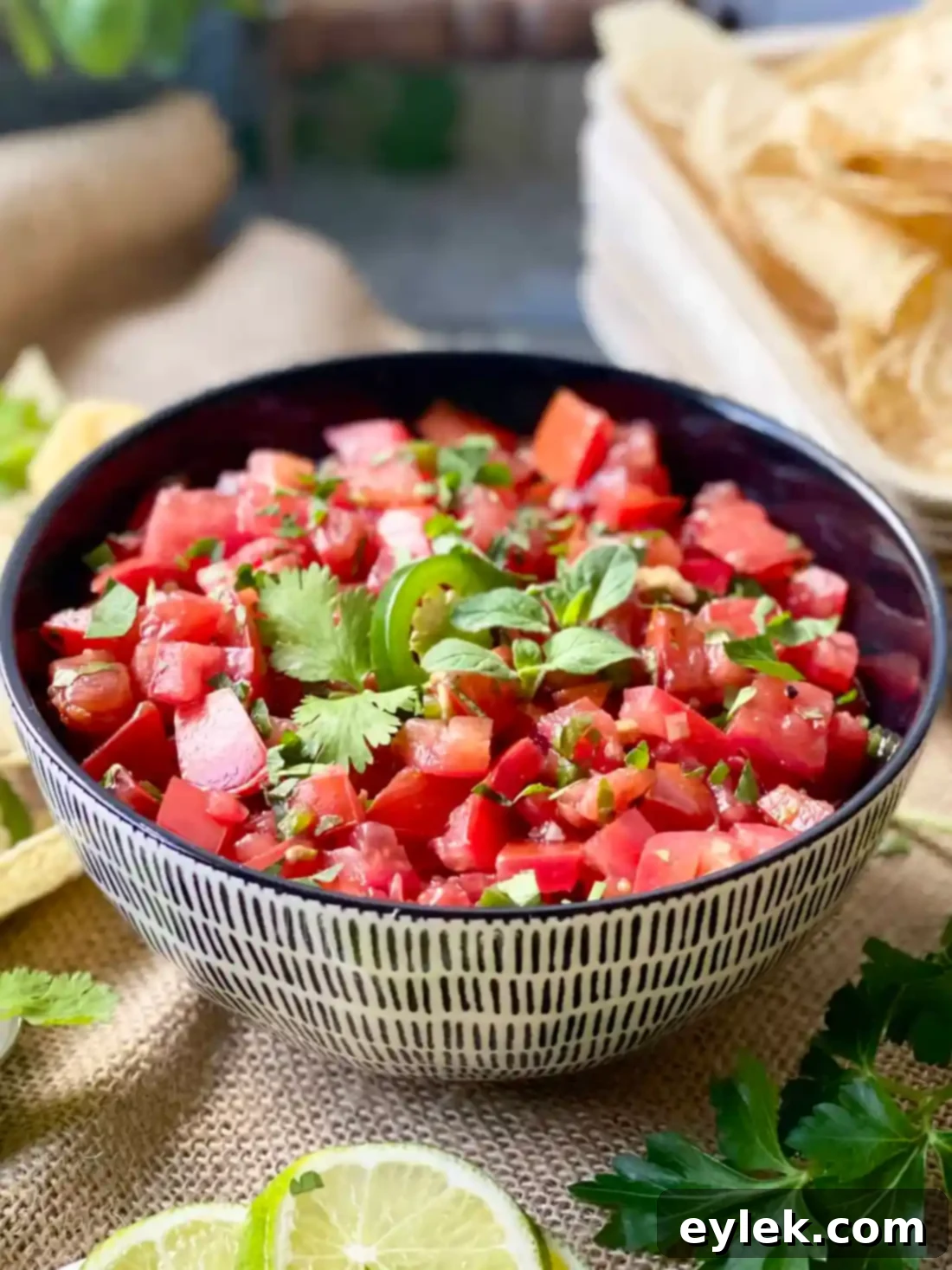 Homemade Fresh Tomato Salsa with chips