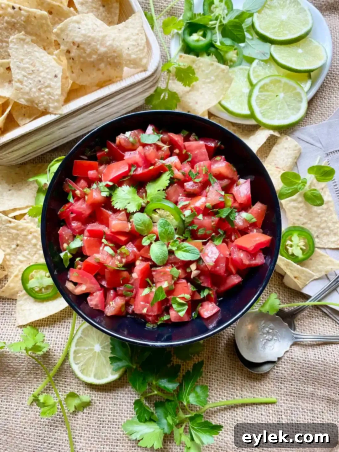 Homemade Fresh Tomato Salsa being served with chips