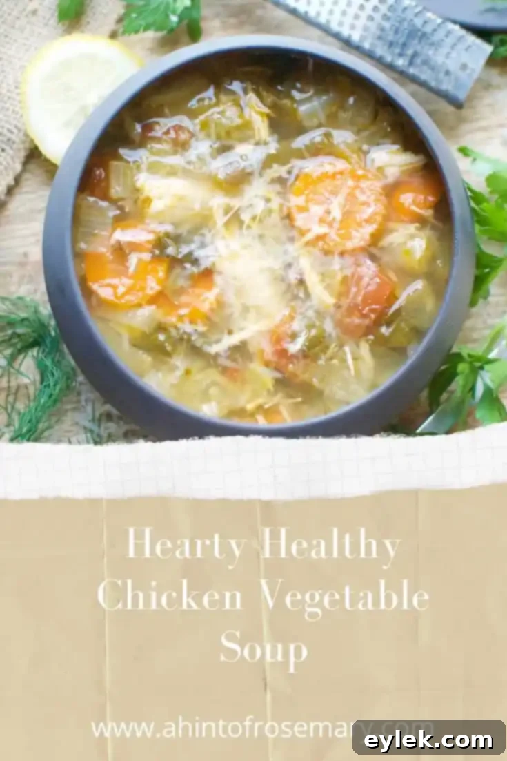 Hearty Healthy Chicken Vegetable Soup