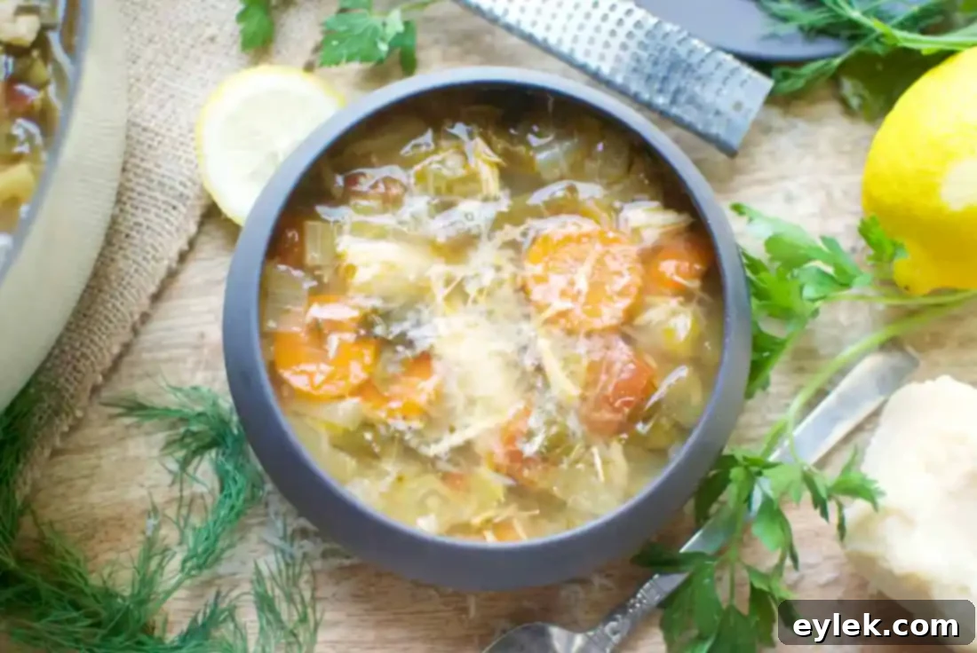 hearty healthy chicken vegetable soup