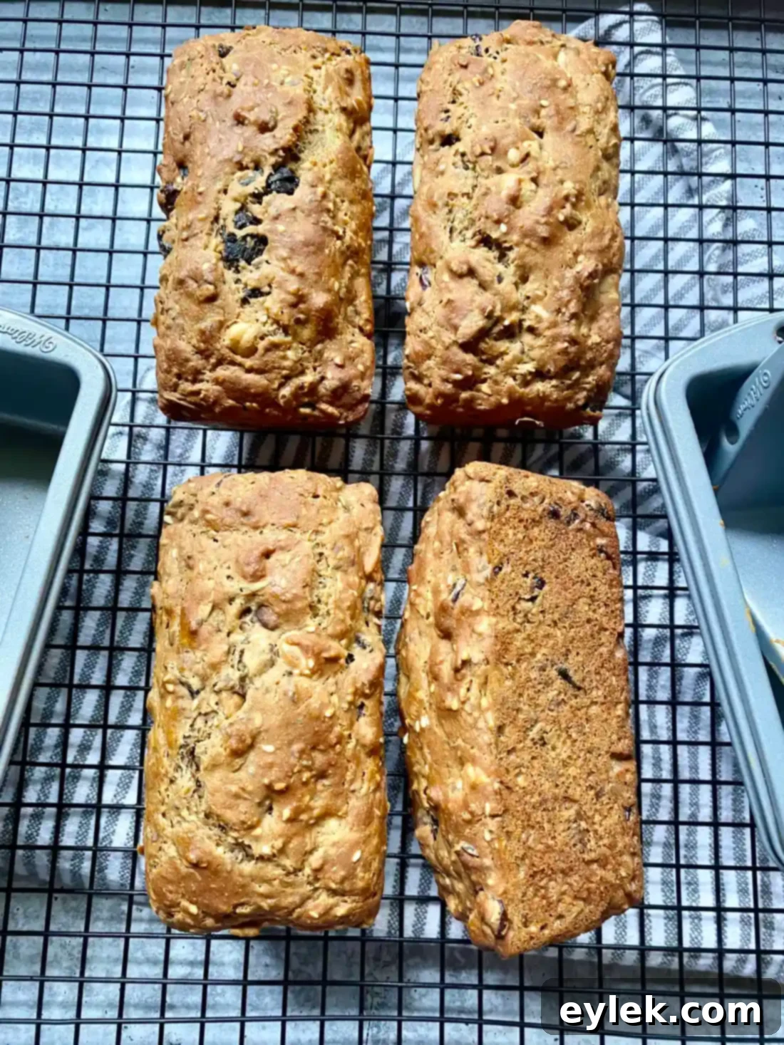 Homemade Raincoast Crisp Crackers