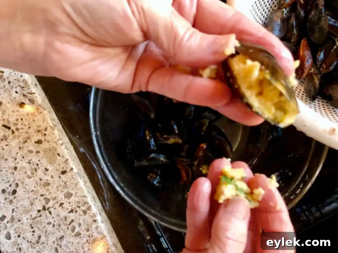 Homemade Stuffed Mussels Marinara partially open