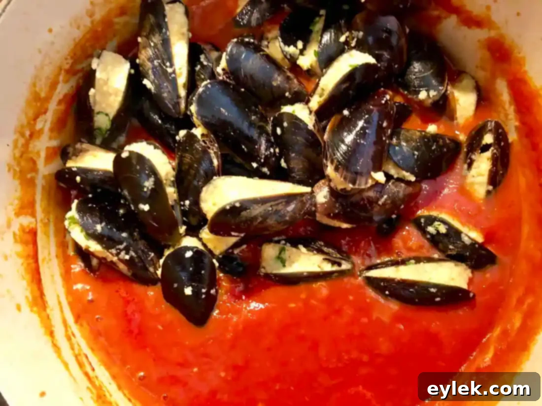 Homemade Stuffed Mussels Marinara filled