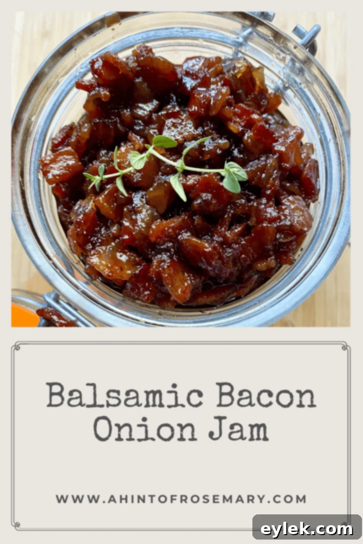 Balsamic Bacon Onion Jam