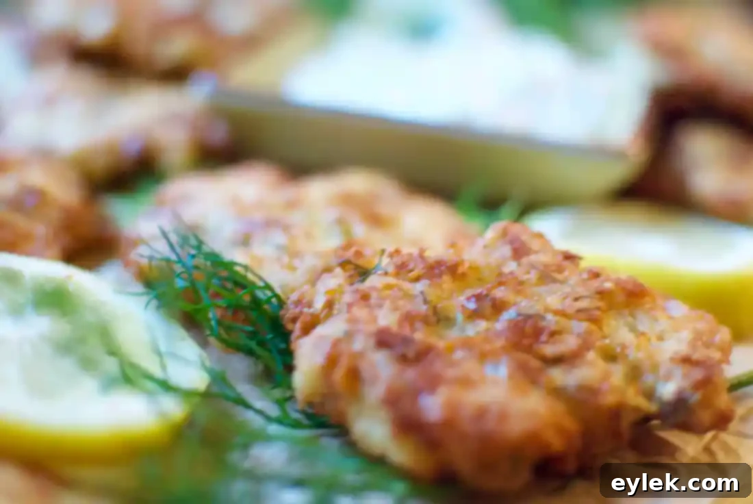 low-carb cheesy chicken fritters
