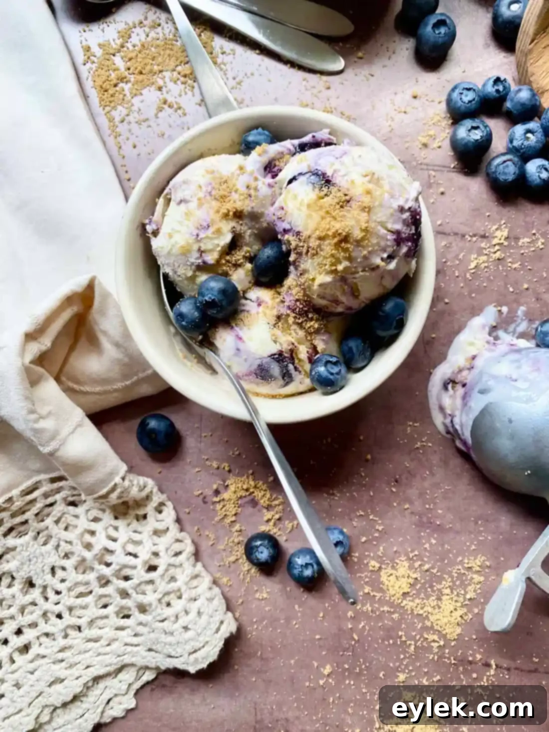 Close-up of blueberry cheesecake ice cream