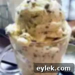 Dreamy Homemade Stracciatella 24 homemade stracciatella ice cream