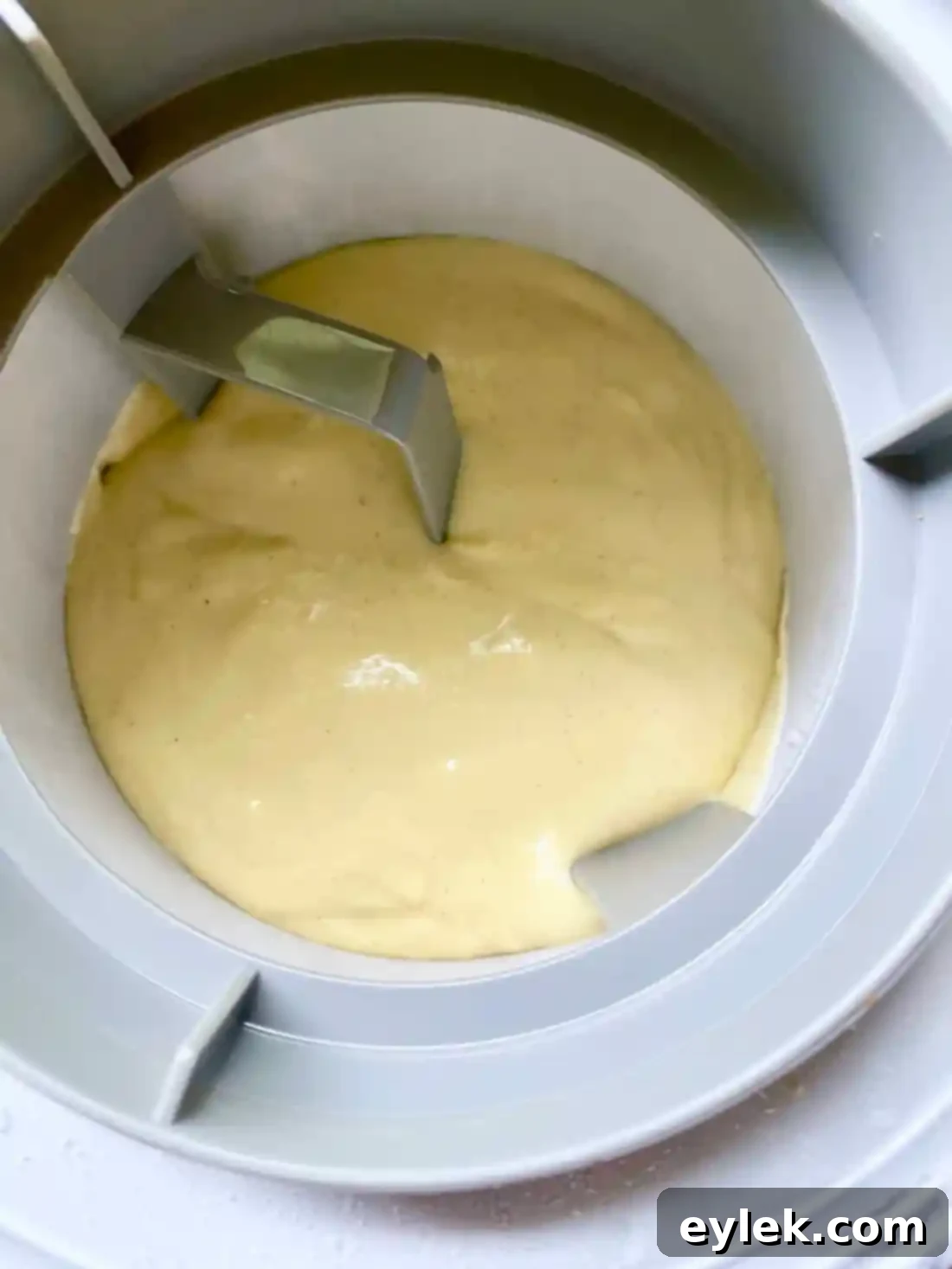 Dreamy Homemade Stracciatella 10 img 39620 9