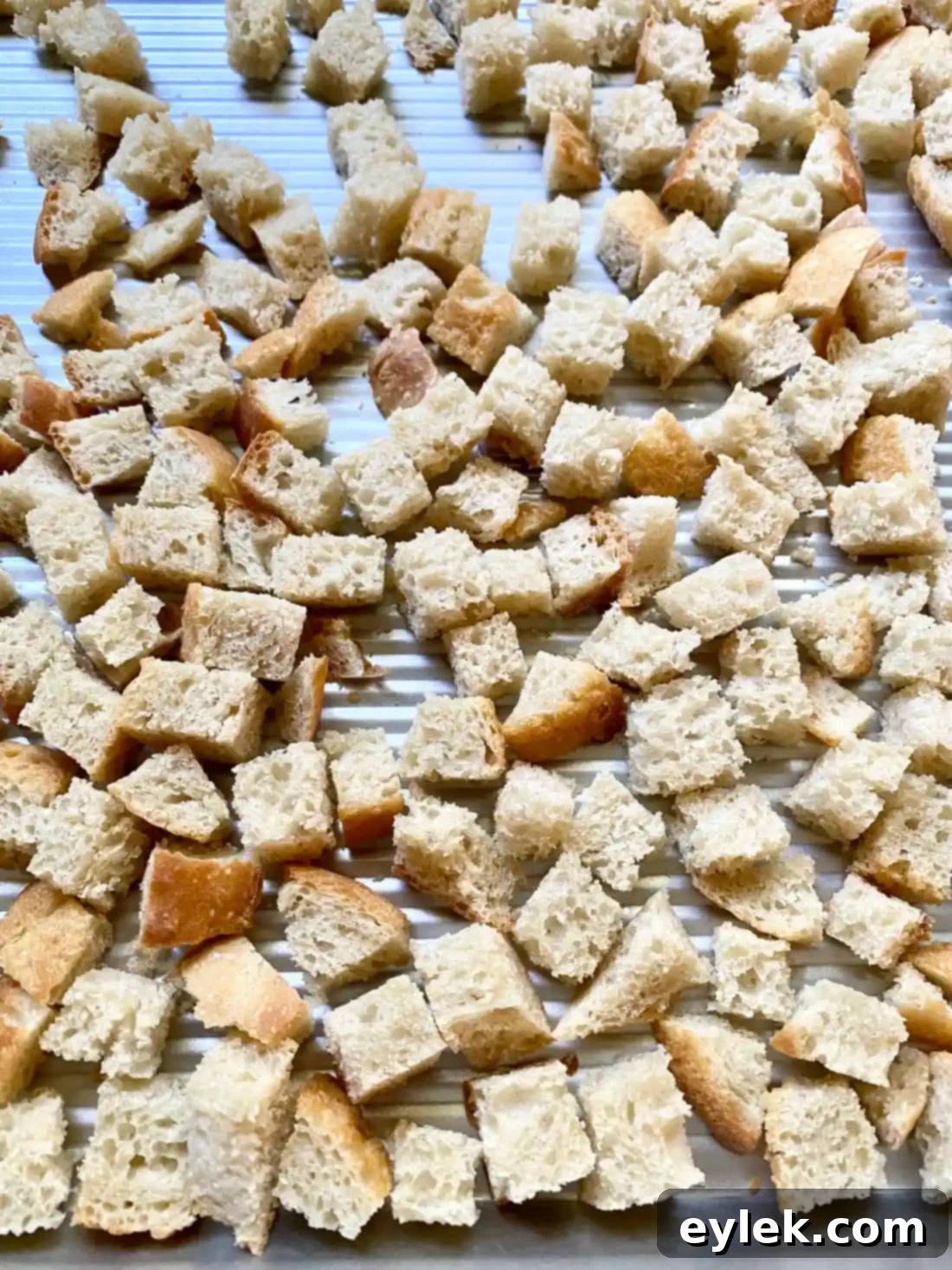 Dried bread cubes cooling