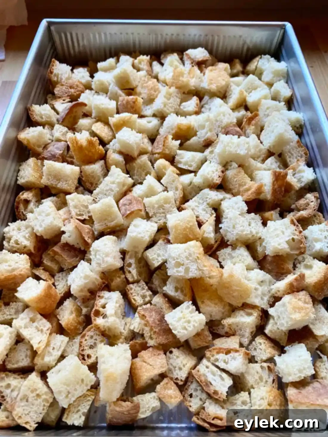 Food processor ready for dried bread cubes