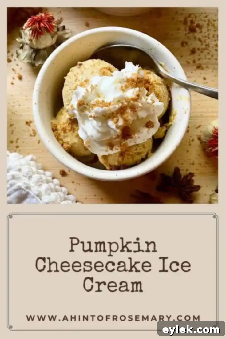 Pumpkin Cheesecake Ice Cream
