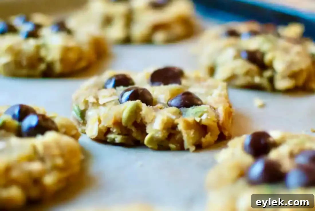 Cookie dough with chocolate chips pressed on top