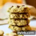 Smart Start Cookies 19 Low-Carb Breakfast Cookies with nuts and chocolate chips